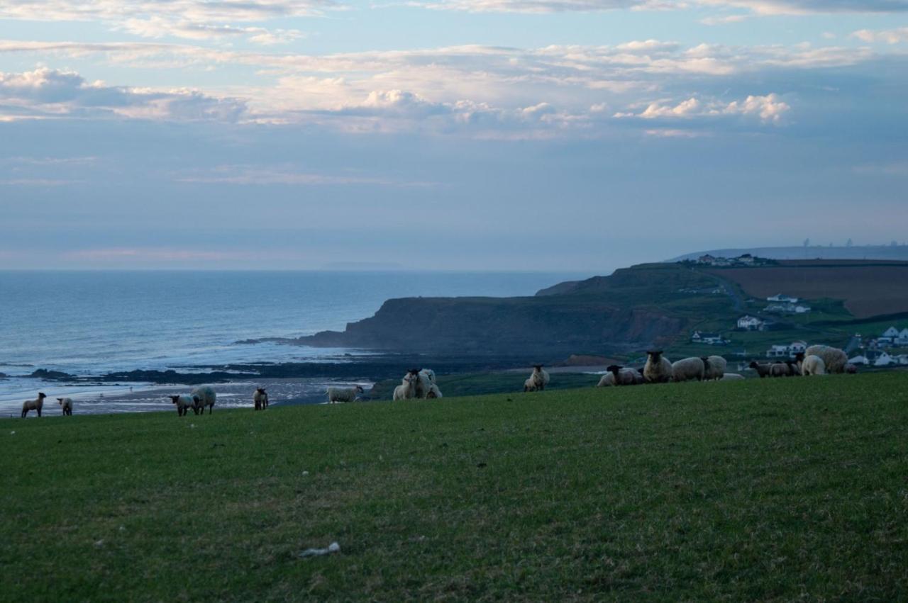 Chalet 18 Widemouth Bay Holiday Village 布德 外观 照片