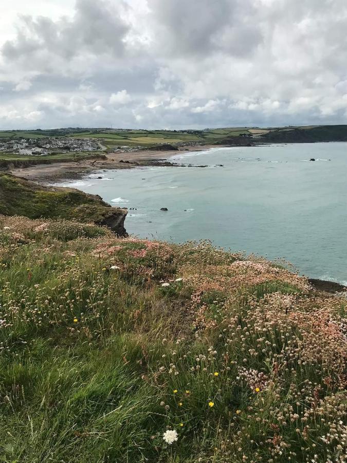 Chalet 18 Widemouth Bay Holiday Village 布德 外观 照片